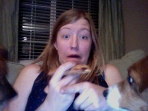Eating Pizza With Dogs (6 pics)