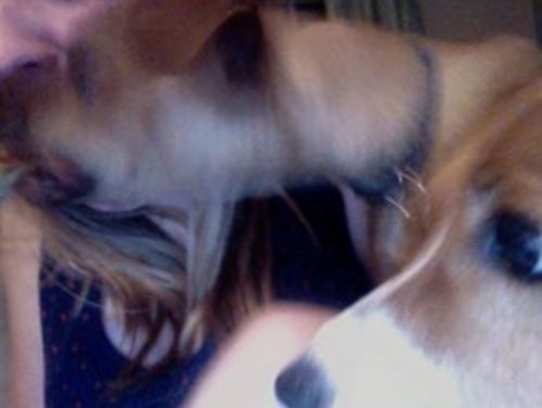 Eating Pizza With Dogs (6 pics)
