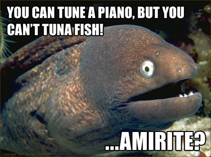 Bad Joke Eel (12 pics)