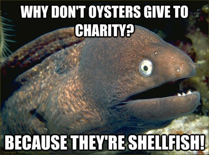Bad Joke Eel (12 pics)