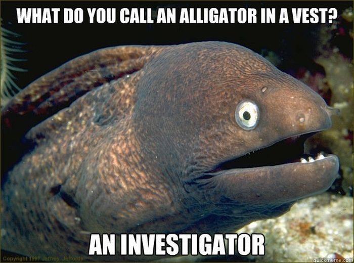 Bad Joke Eel (12 pics)