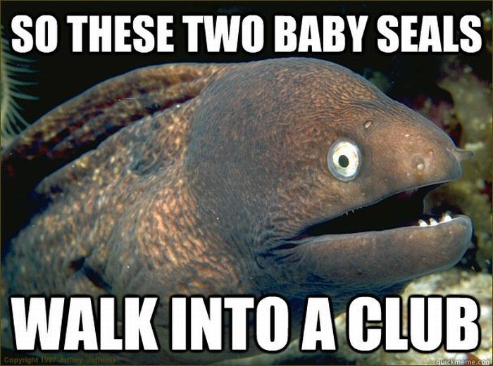 Bad Joke Eel (12 pics)