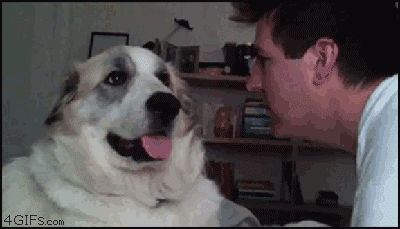 Acid Gifdump (10 gifs)