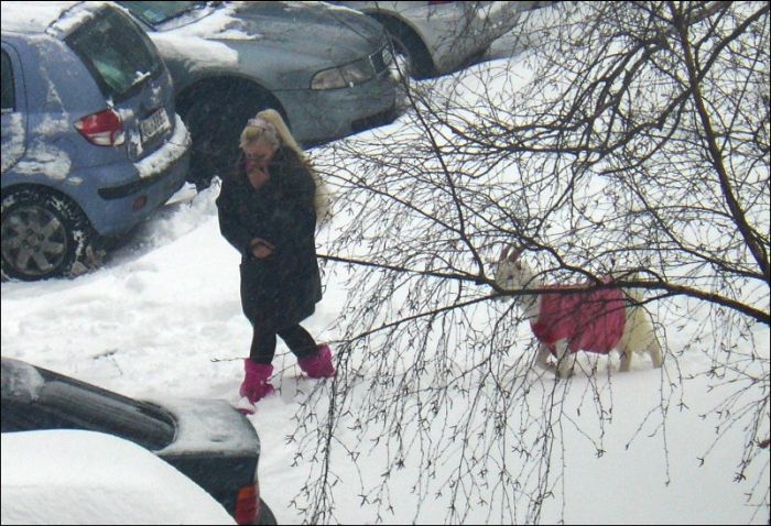 Unusual Pet in Pink (4 pics)