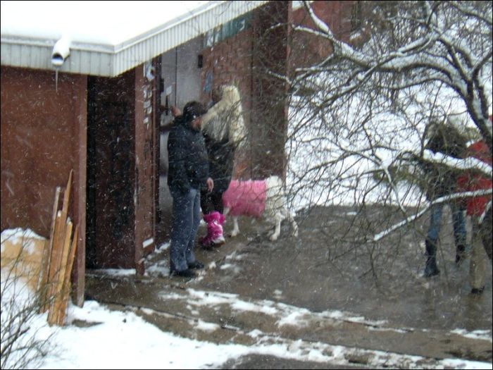 Unusual Pet in Pink (4 pics)