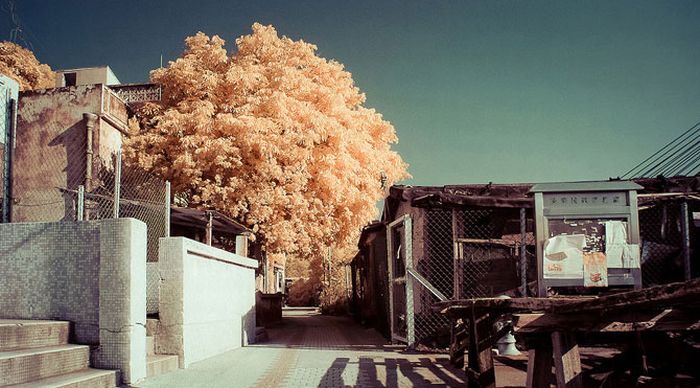 IR Photos of Hong Kong (49 pics)