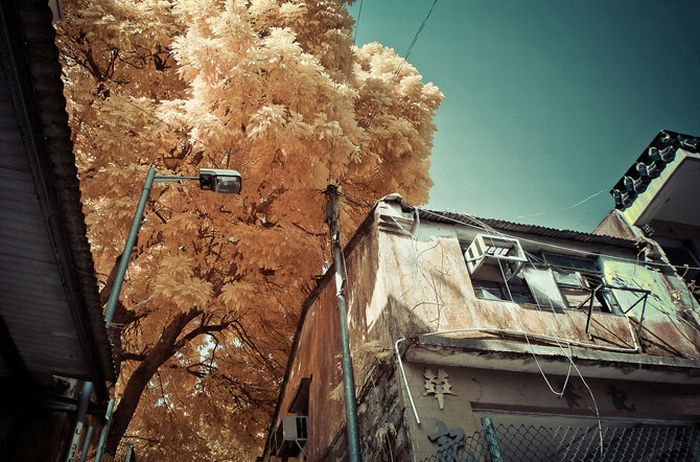 IR Photos of Hong Kong (49 pics)