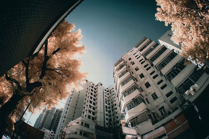 IR Photos of Hong Kong (49 pics)