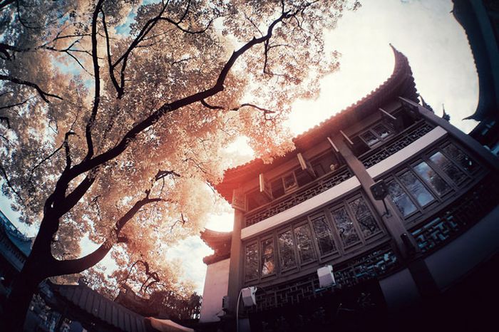IR Photos of Hong Kong (49 pics)