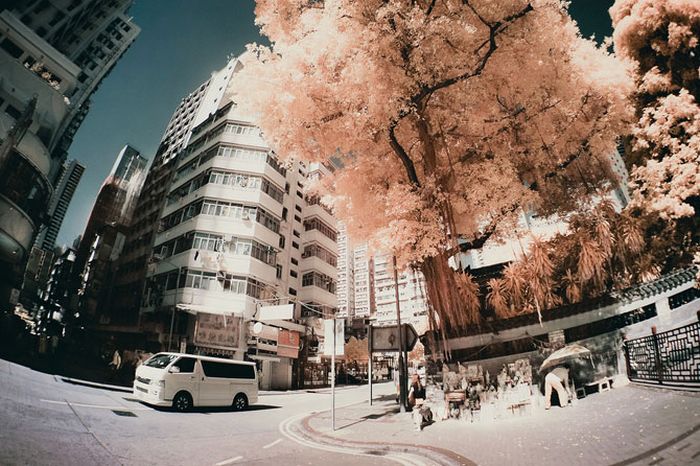IR Photos of Hong Kong (49 pics)