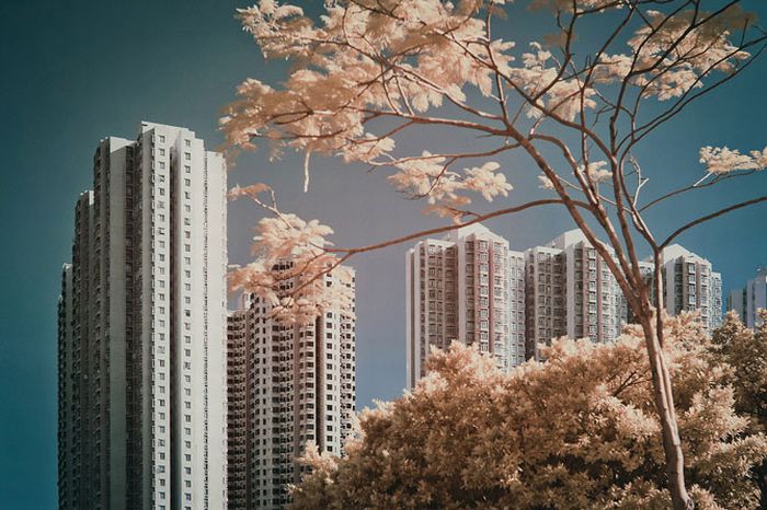 IR Photos of Hong Kong (49 pics)