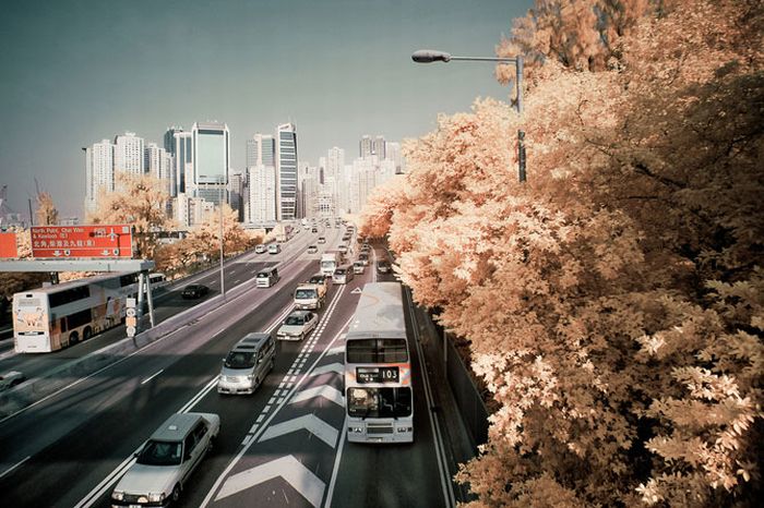 IR Photos of Hong Kong (49 pics)