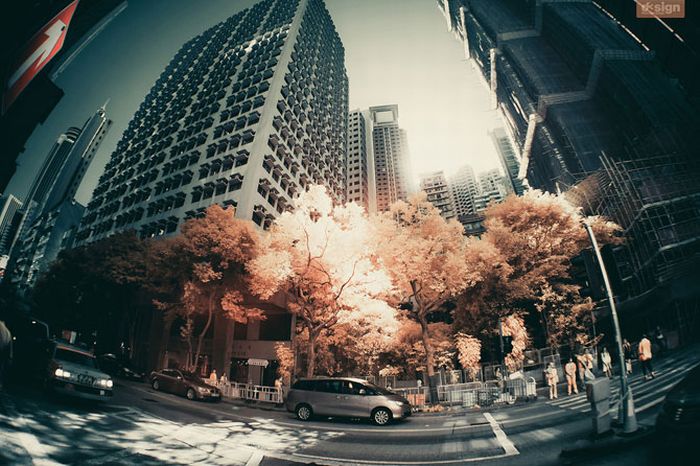 IR Photos of Hong Kong (49 pics)