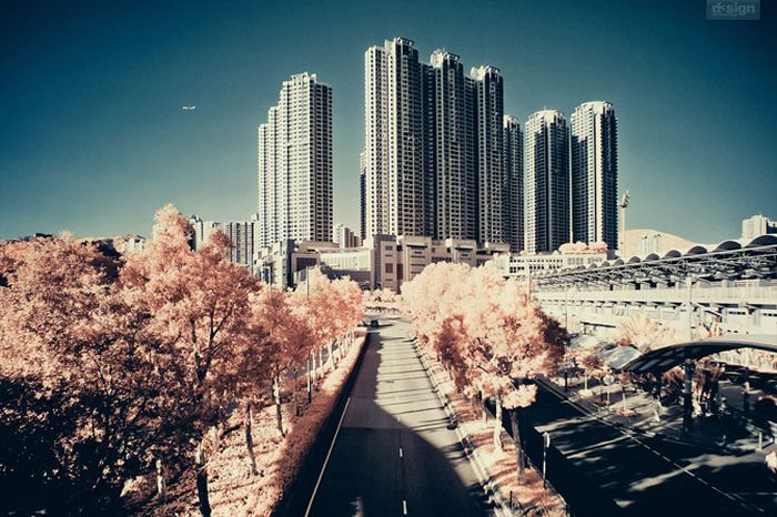 IR Photos of Hong Kong (49 pics)