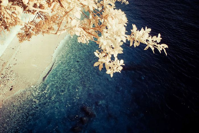 IR Photos of Hong Kong (49 pics)