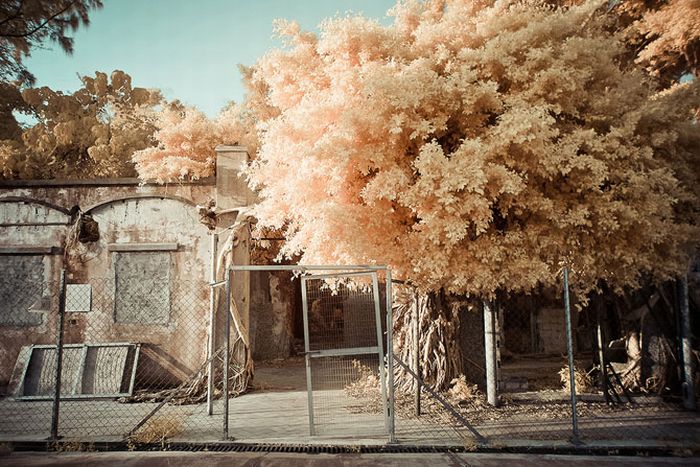 IR Photos of Hong Kong (49 pics)