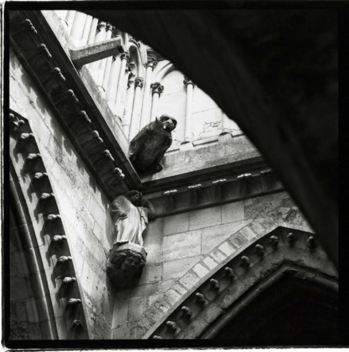 Notre-Dame de Reims Photos (91 pics)