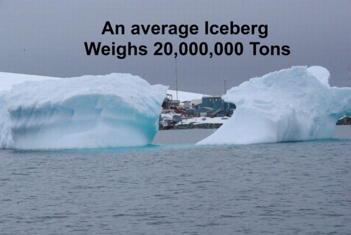 Cool Facts You May Never Knew (30 pics)