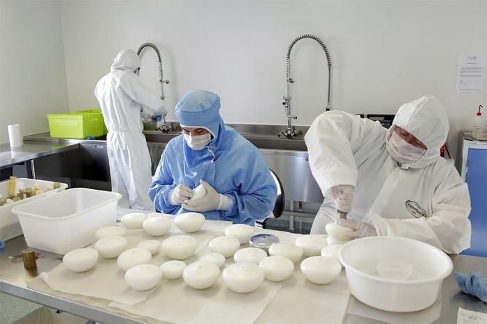 Breast Implants Production (14 pics)