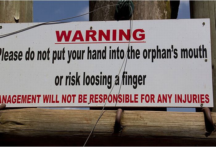 WTF Signs. Part 12 (18 pics)