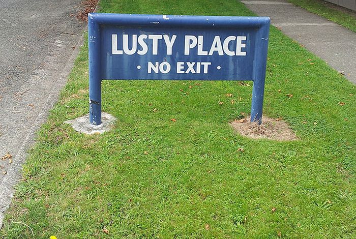WTF Signs. Part 12 (18 pics)