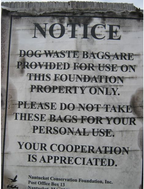 WTF Signs. Part 12 (18 pics)