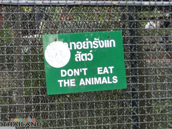 Only in Thailand (46 pics)