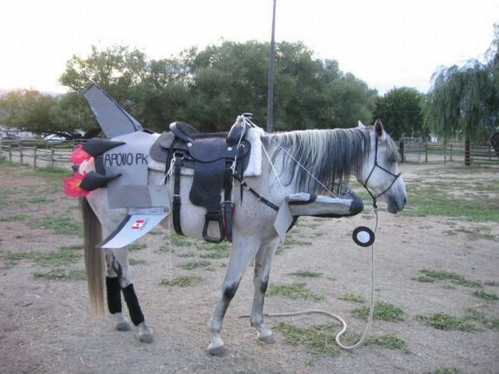 Acid Picdump (164 pics)