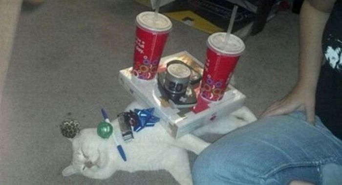 Acid Picdump (164 pics)