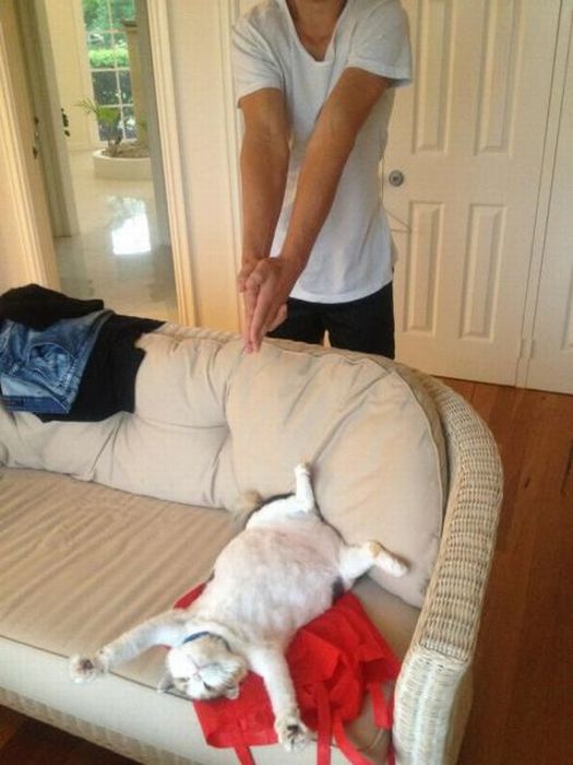 Acid Picdump (164 pics)