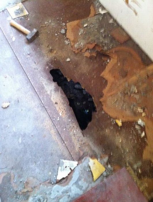 Acid Picdump (164 pics)