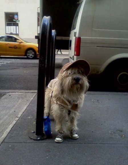 Acid Picdump (164 pics)