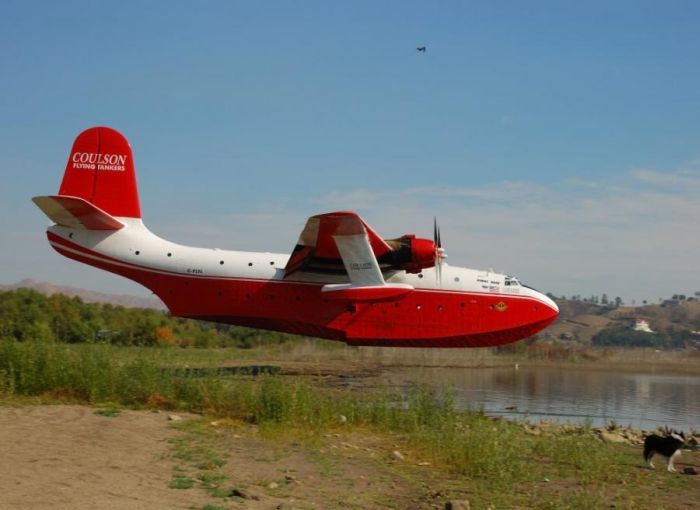 Aircraft Photography (123 pics)