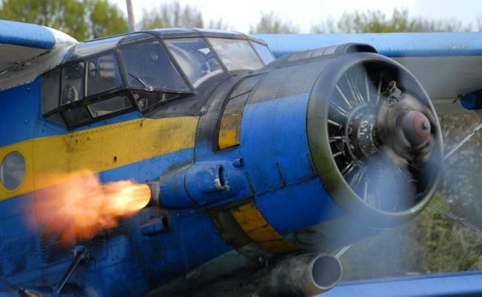 Aircraft Photography (123 pics)