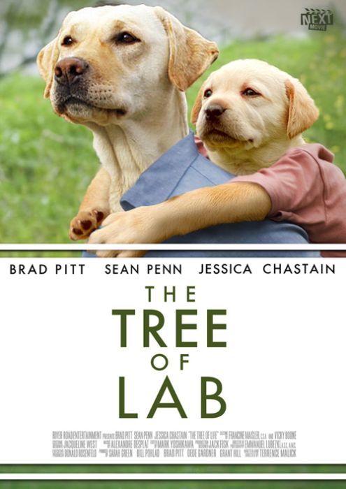 2012 Best Picture Nominees Recast With Dogs (9 pics)