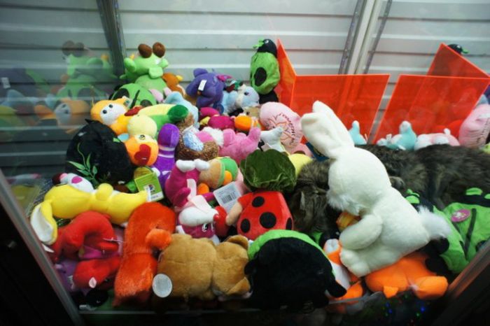 Look Who Is Sleeping Inside the Claw Machine (2 pics)