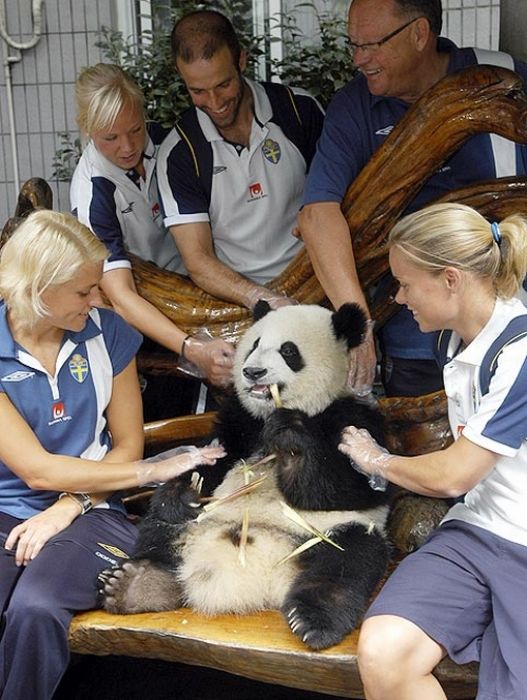 Famous Athletes with Pandas (17 pics)