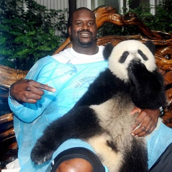 Famous Athletes with Pandas (17 pics)