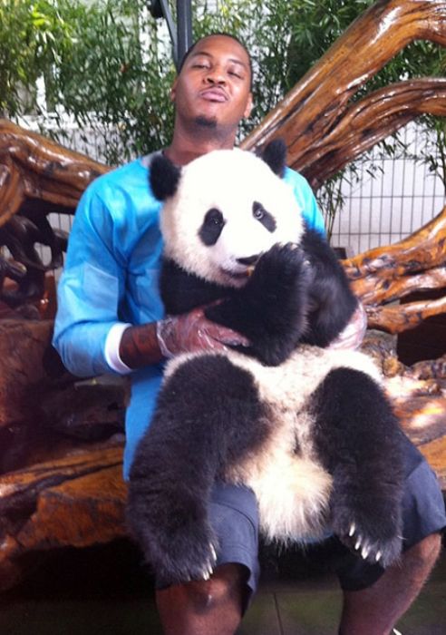 Famous Athletes with Pandas (17 pics)