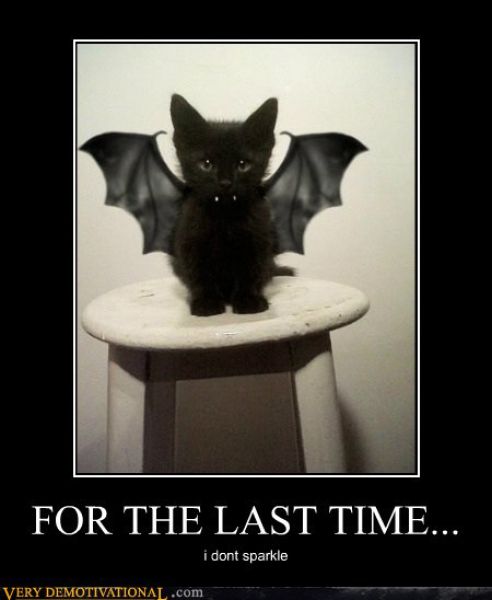 Funny Demotivational Posters (32 pics)