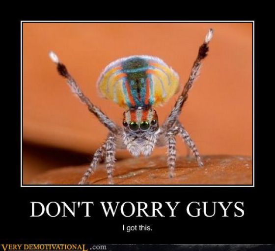 Funny Demotivational Posters (32 pics)