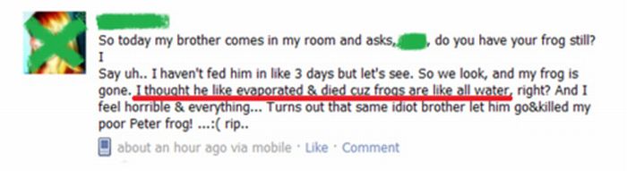 The Types Of People On Facebook (46 pics)
