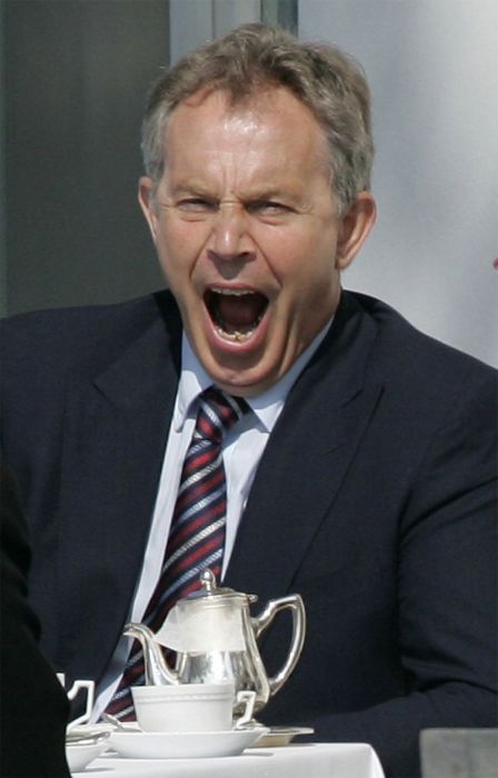 Sleepy Politicians (15 pics)