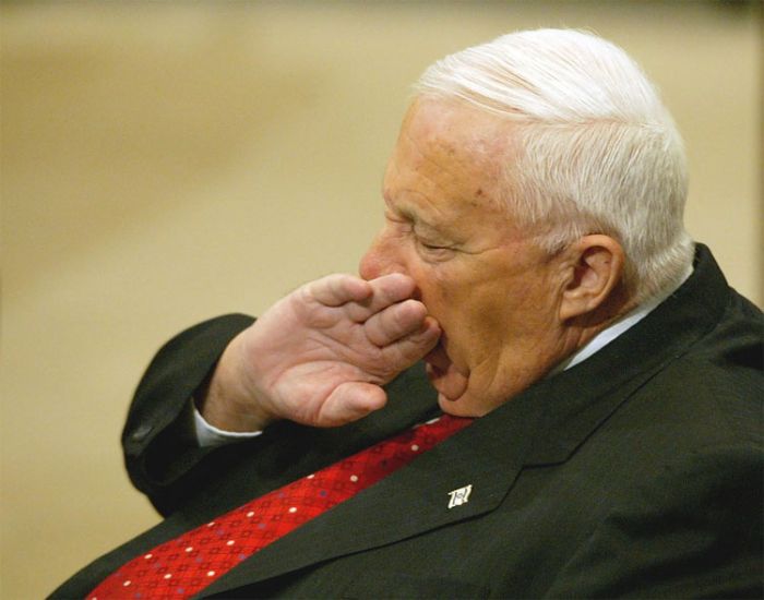 Sleepy Politicians (15 pics)