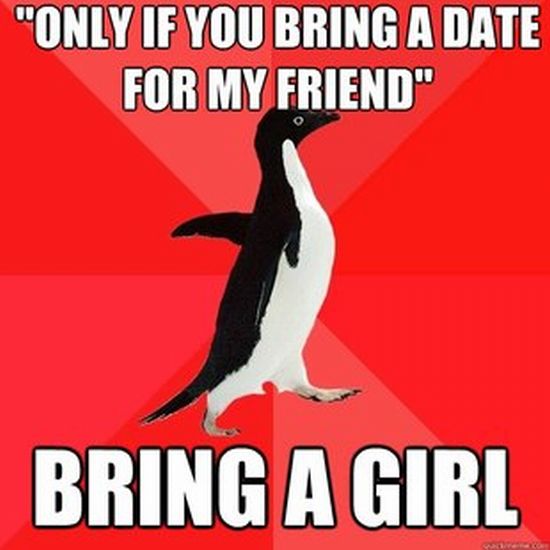 Socially Awesome Penguin (52 pics)