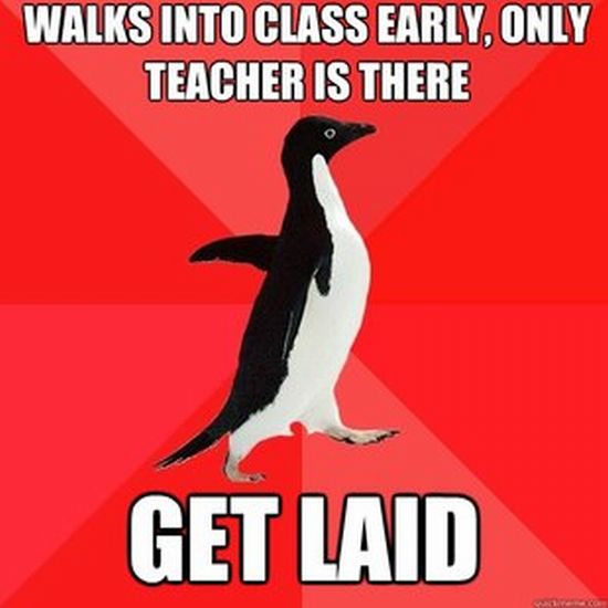 Socially Awesome Penguin (52 pics)