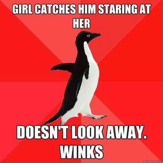 Socially Awesome Penguin (52 pics)