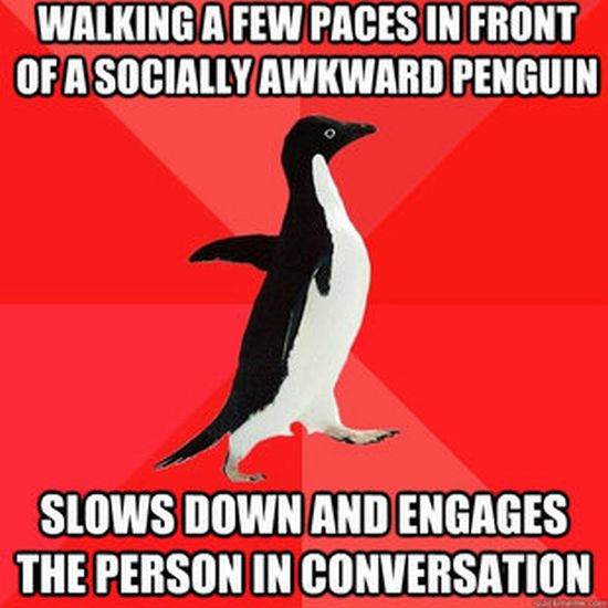 Socially Awesome Penguin (52 pics)