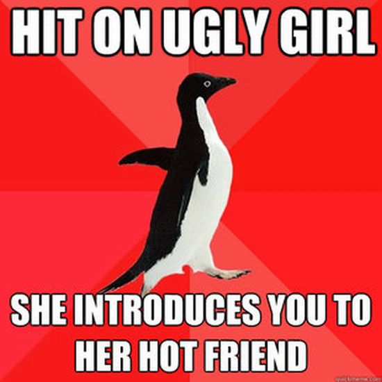 Socially Awesome Penguin (52 pics)