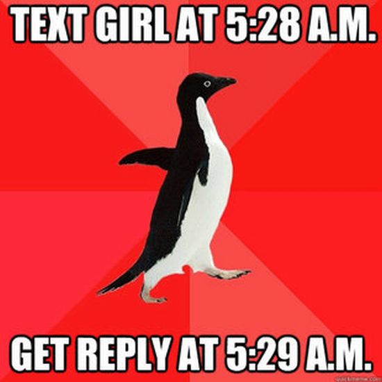 Socially Awesome Penguin (52 pics)